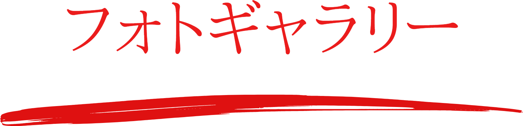 フォトギャラリー